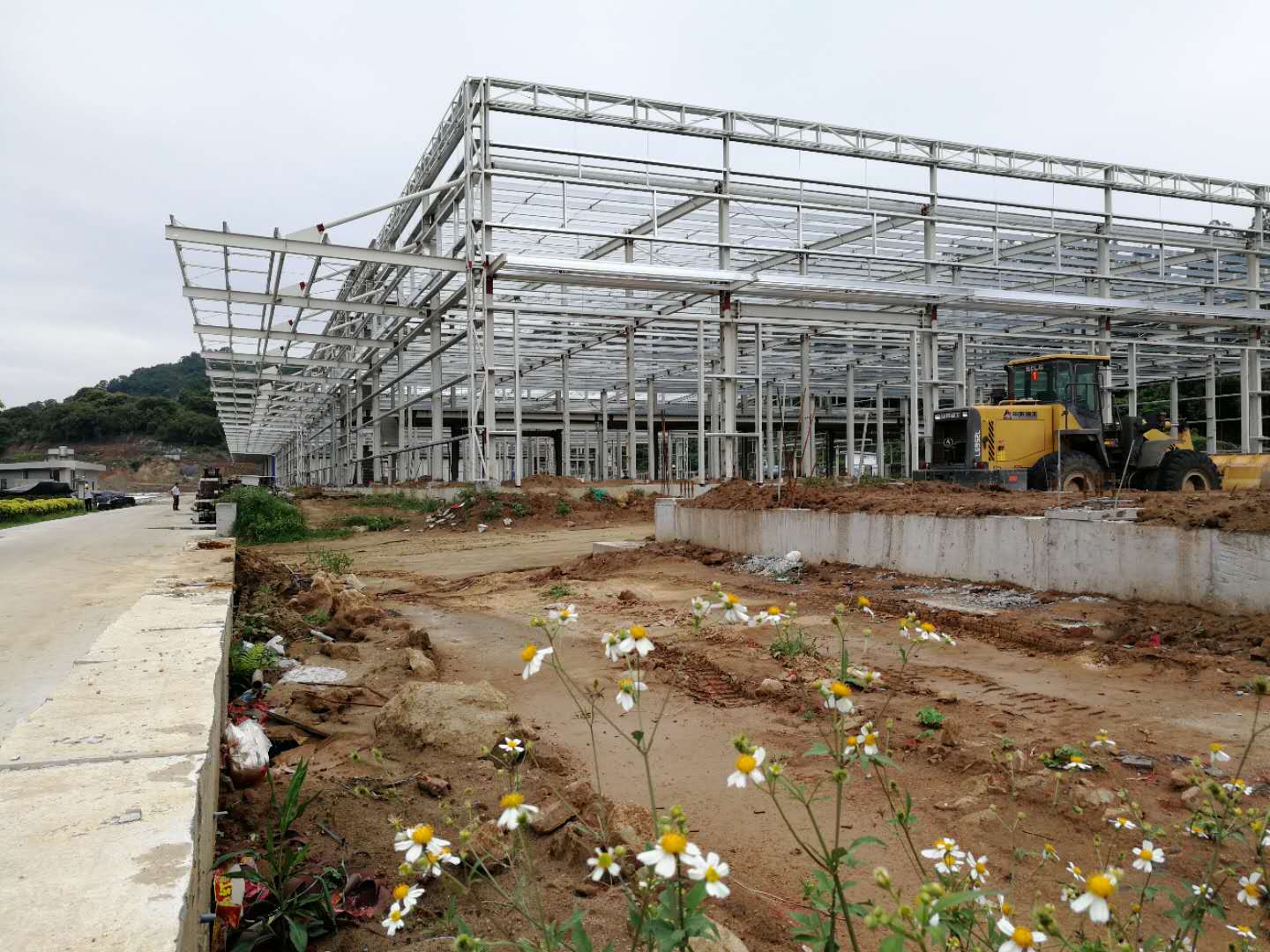 w66国际app(中国)官方下载_来利国际老牌