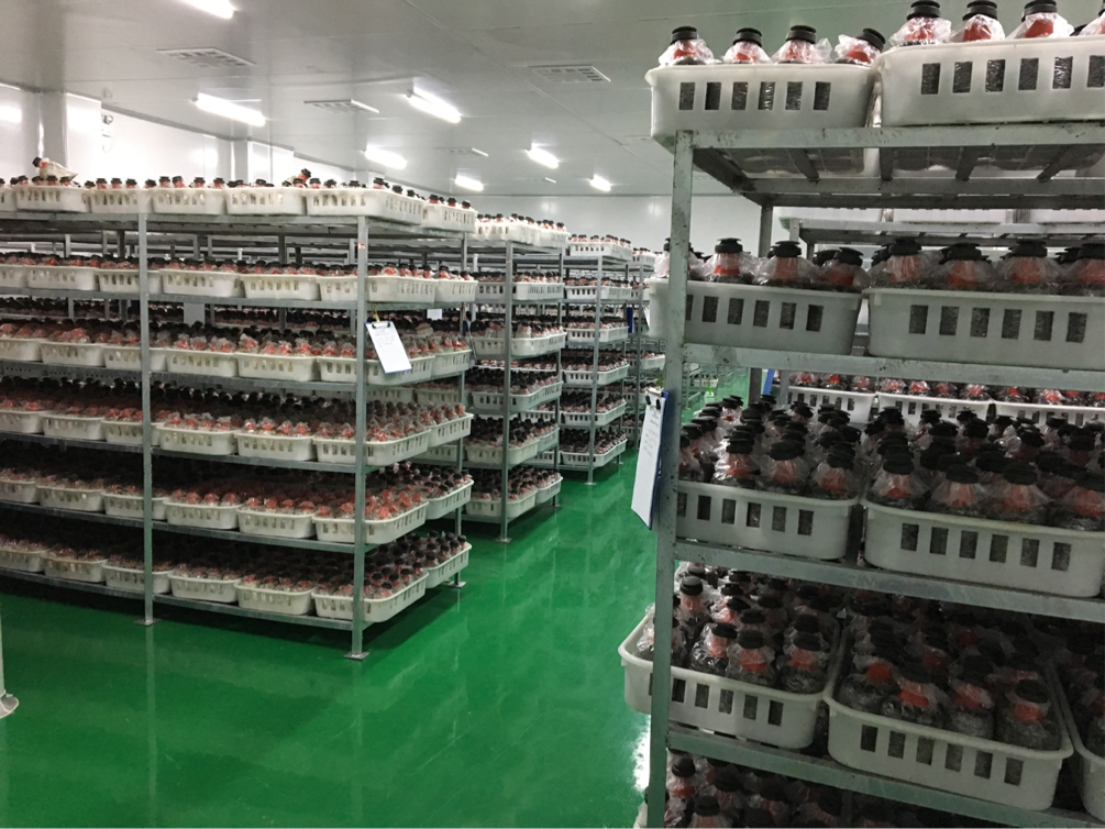 w66国际app(中国)官方下载_来利国际老牌