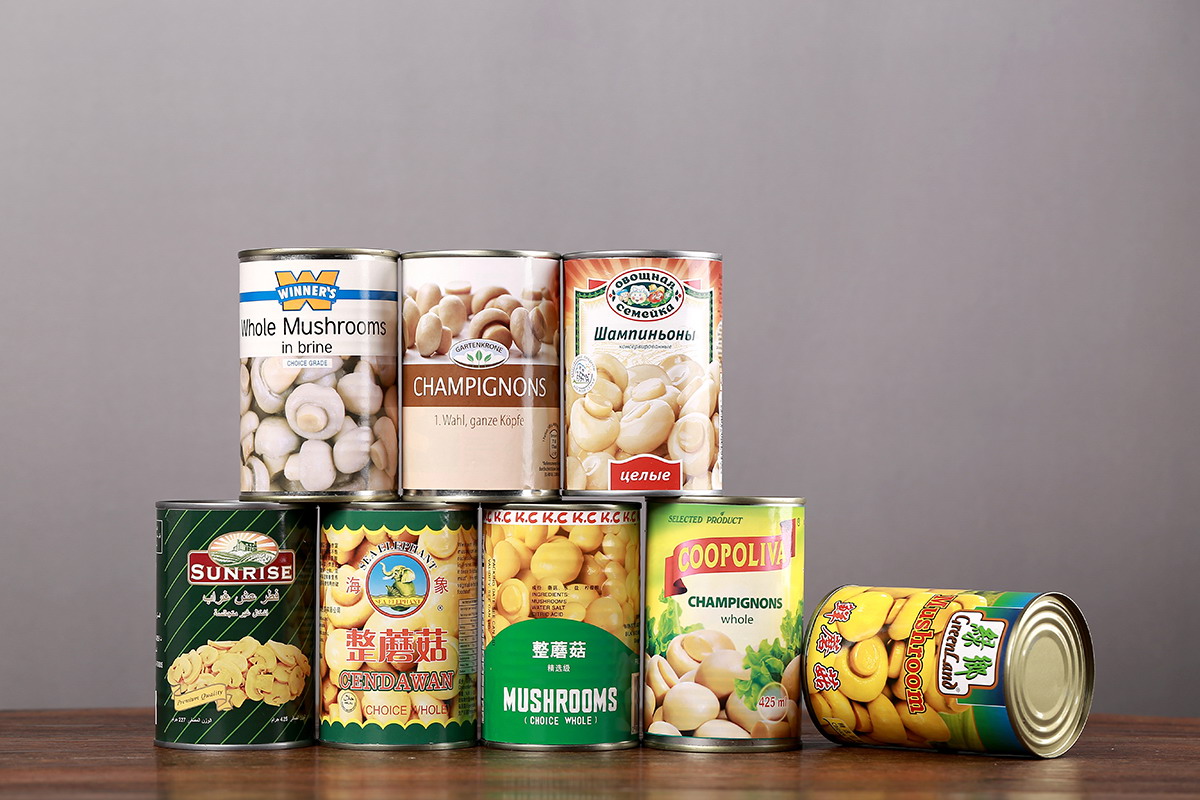 w66国际app(中国)官方下载_来利国际老牌