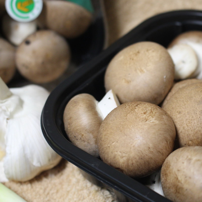 w66国际app(中国)官方下载_来利国际老牌