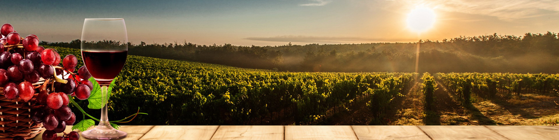 w66国际app(中国)官方下载_来利国际老牌