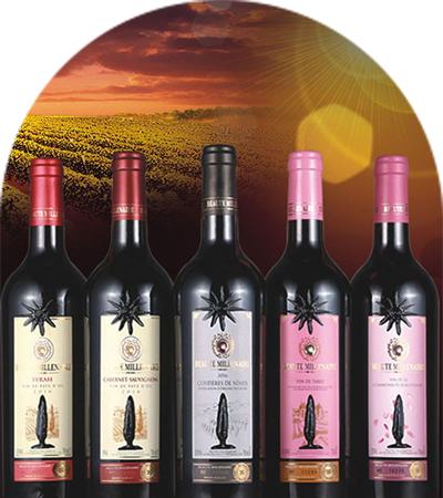 w66国际app(中国)官方下载_来利国际老牌