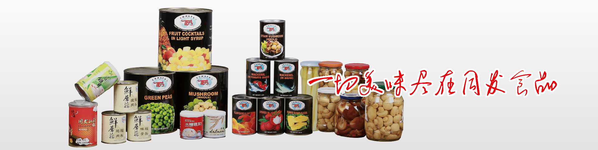 w66国际app(中国)官方下载_来利国际老牌