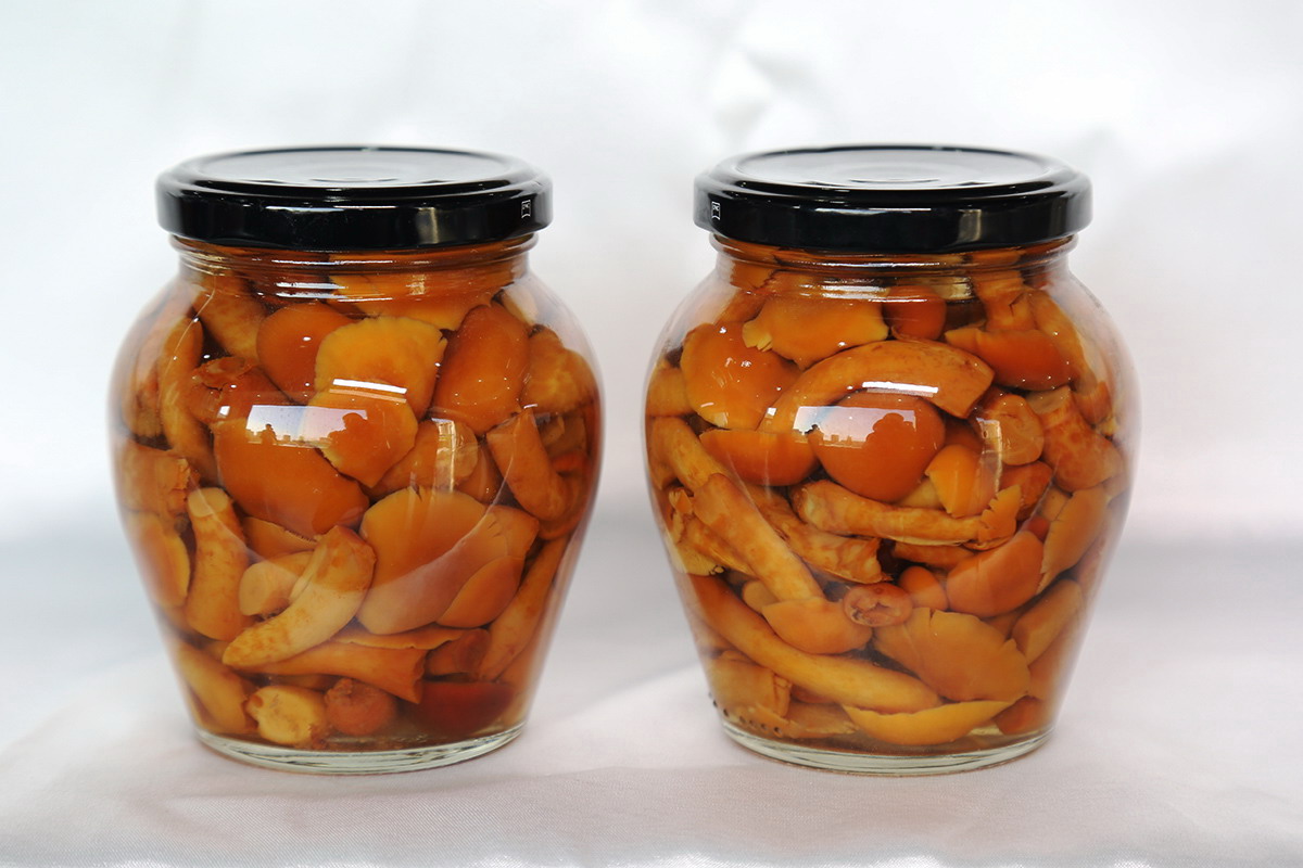 w66国际app(中国)官方下载_来利国际老牌