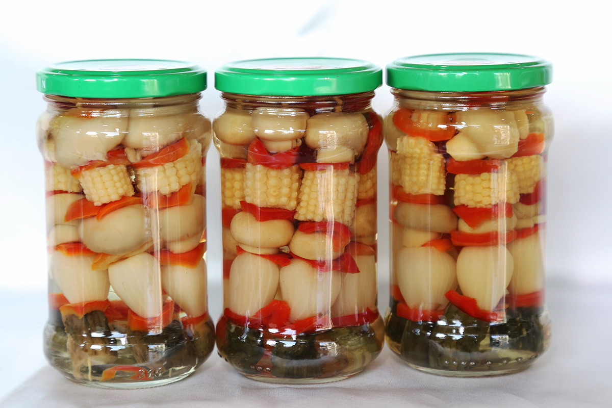 w66国际app(中国)官方下载_来利国际老牌