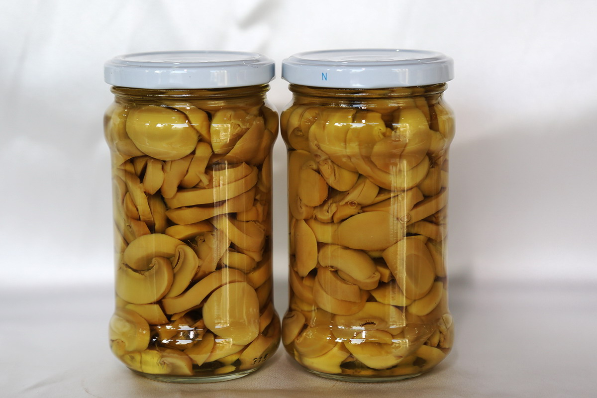 w66国际app(中国)官方下载_来利国际老牌