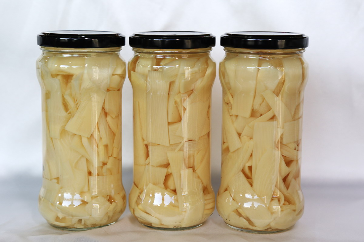 w66国际app(中国)官方下载_来利国际老牌