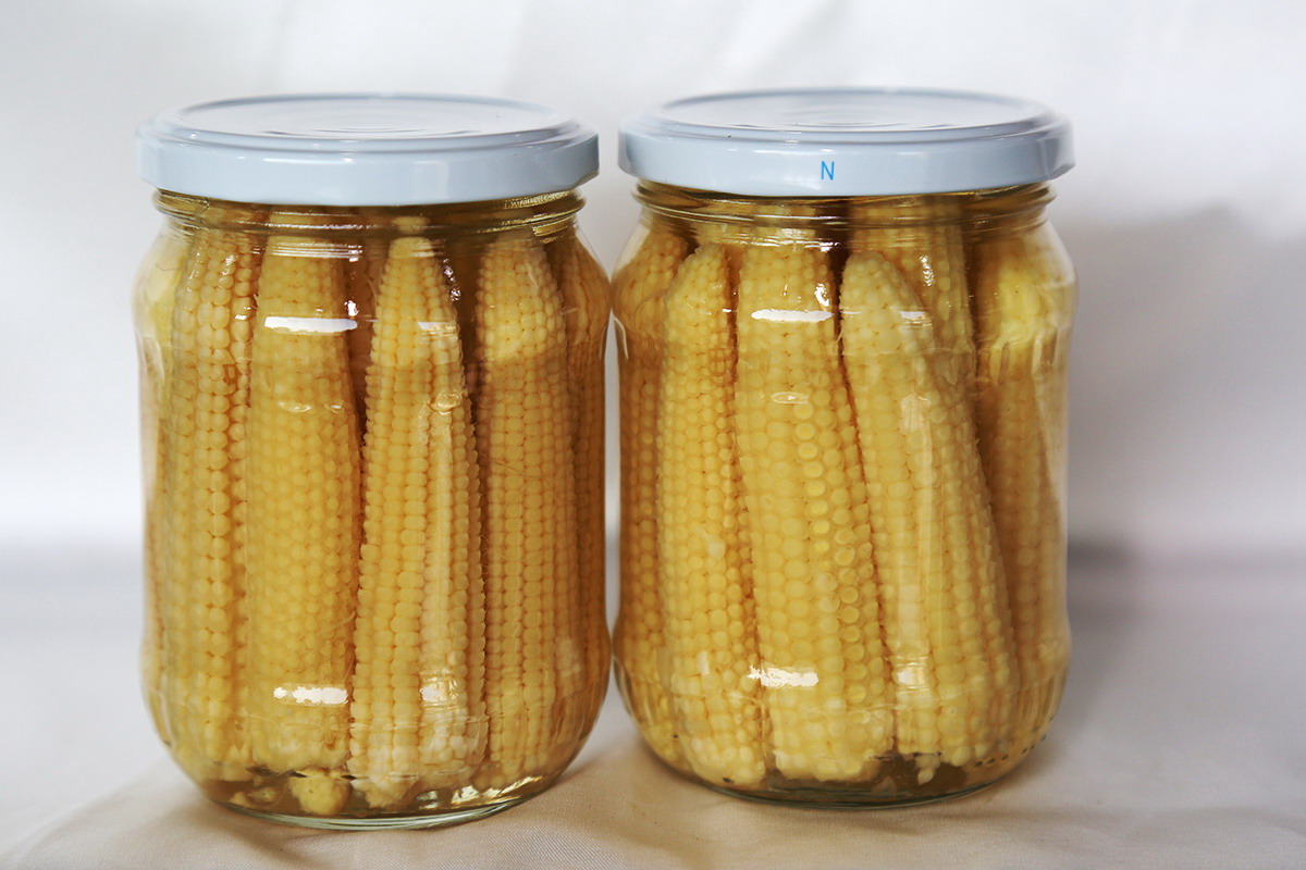 w66国际app(中国)官方下载_来利国际老牌